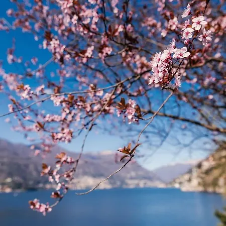 Apartamento Crotto Del Nino Feel The Wonderfull Lake *